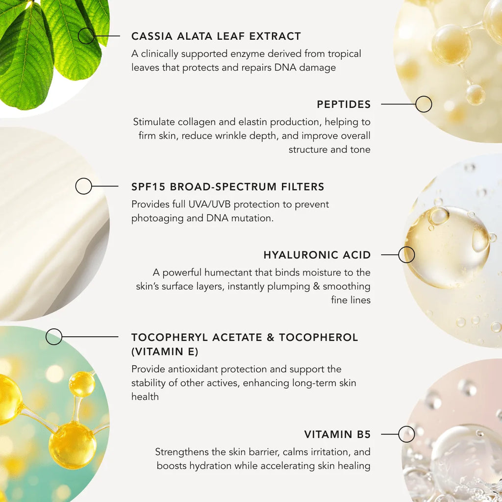 Skincare product ingredients with images and text on a light background