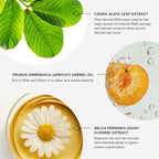 Cosmetic ingredients with images and text labels on a white background