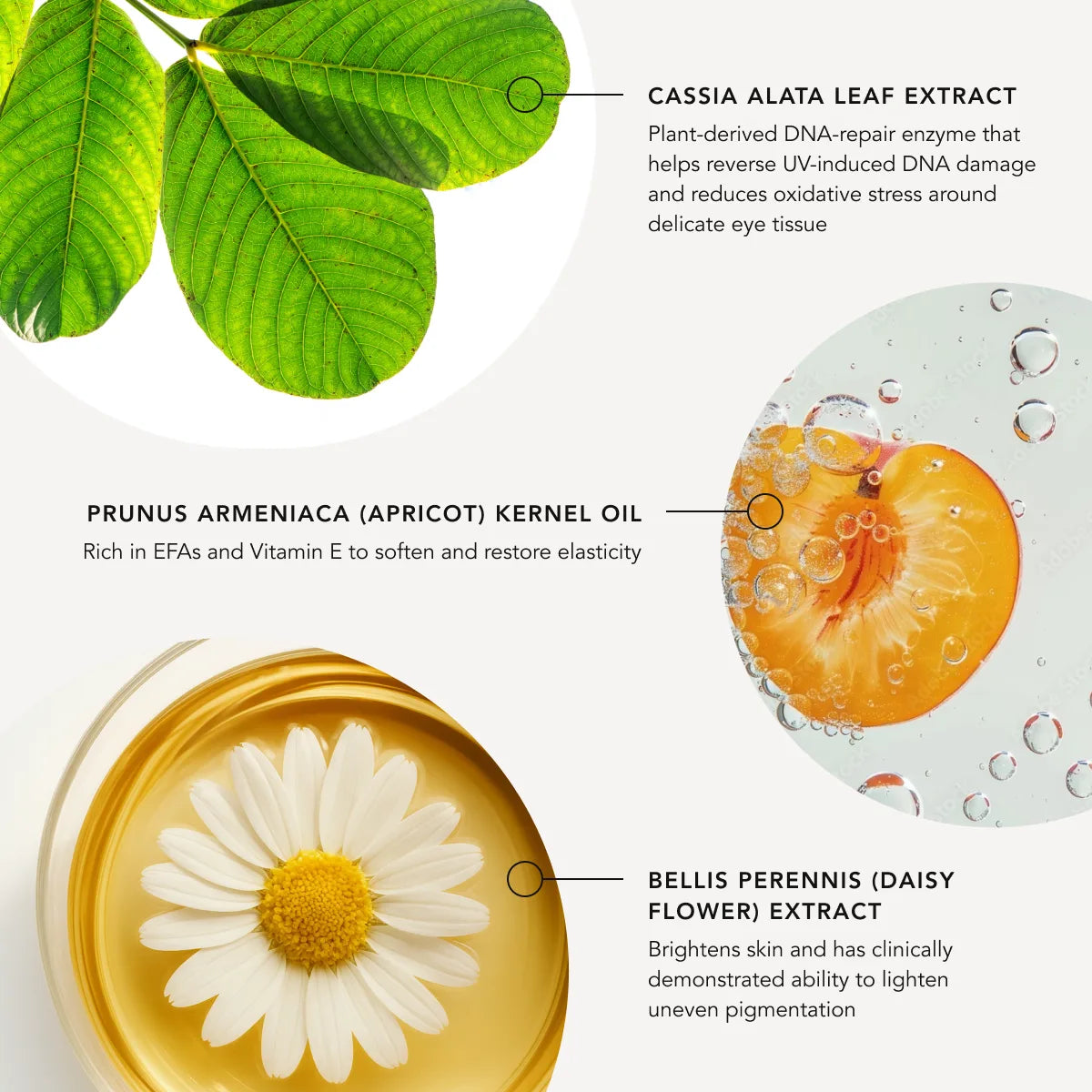 Cosmetic ingredients with images and text labels on a white background