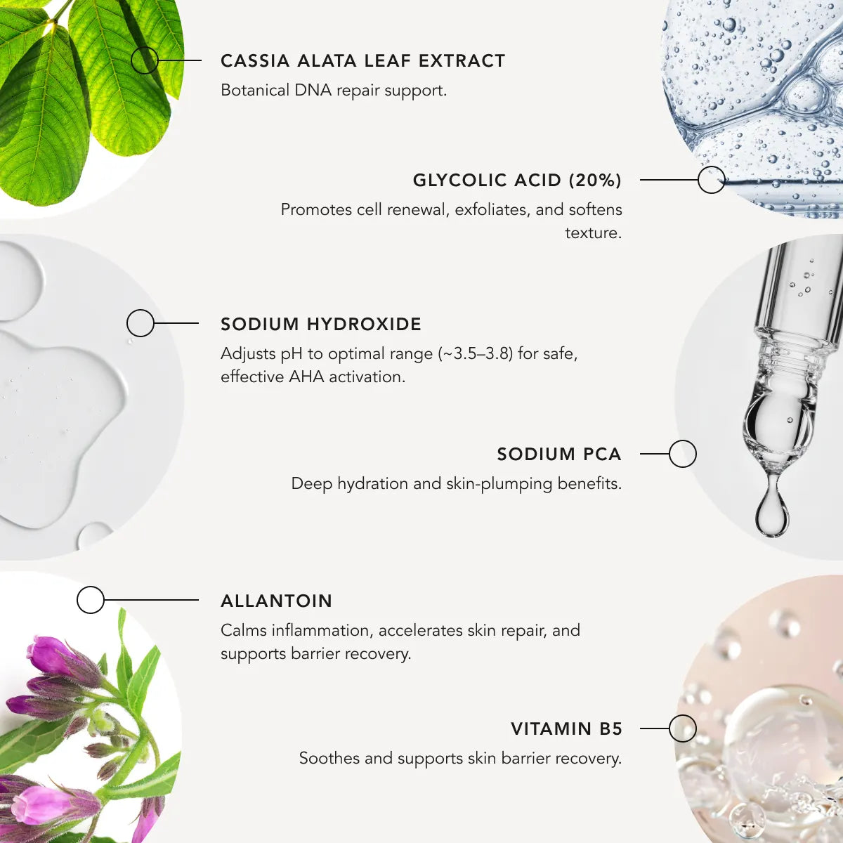 Skincare product ingredients with images and text on a white background