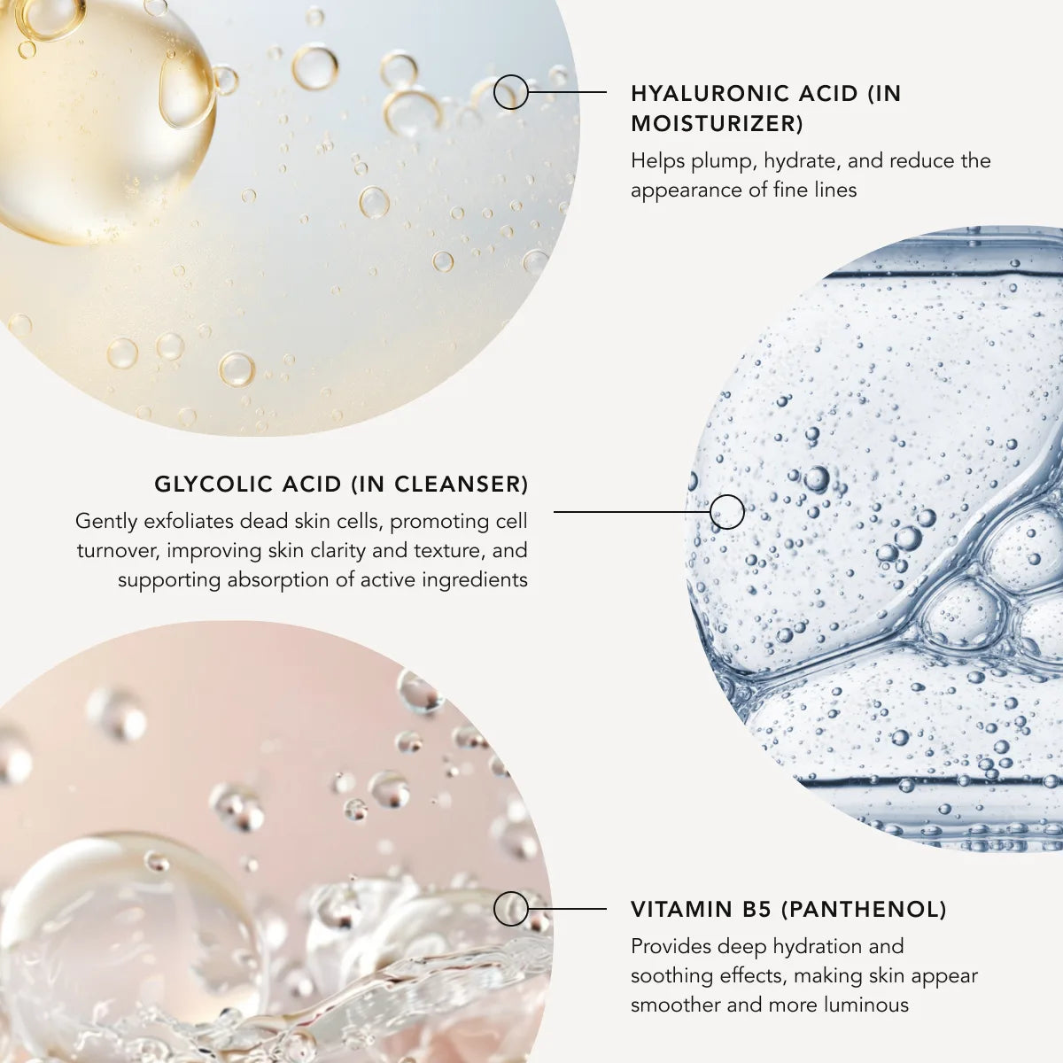 Illustration of skincare ingredients with text explaining their functions.